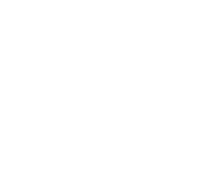 The Visionaire Collective
